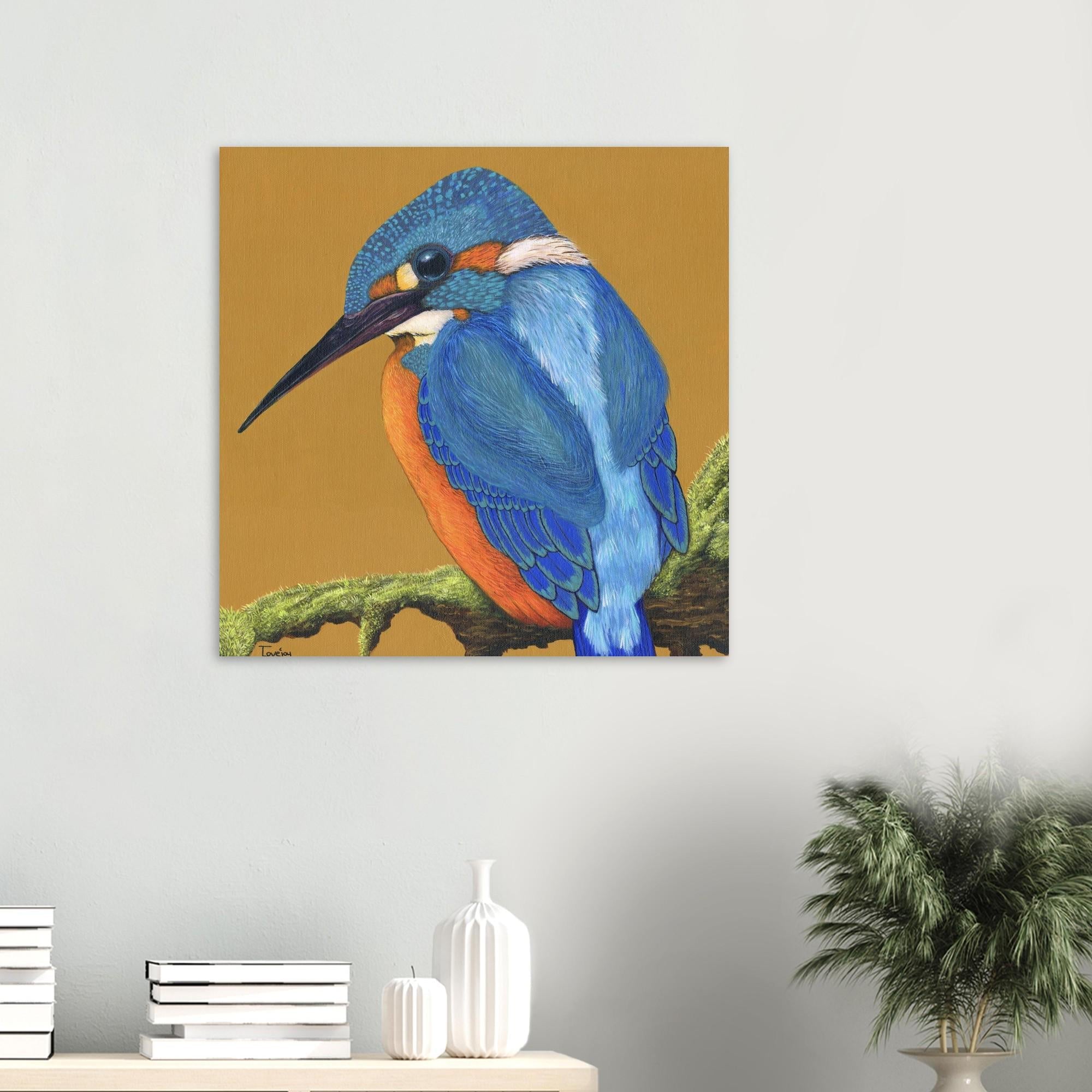 Fine Art Prints & Canvas