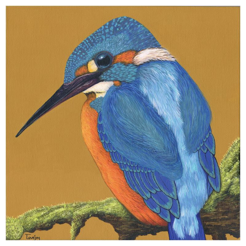 (40cm) Art Print - Vibrant Kingfisher