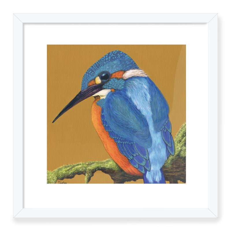 Box Frame Art Print - Vibrant Kingfisher
